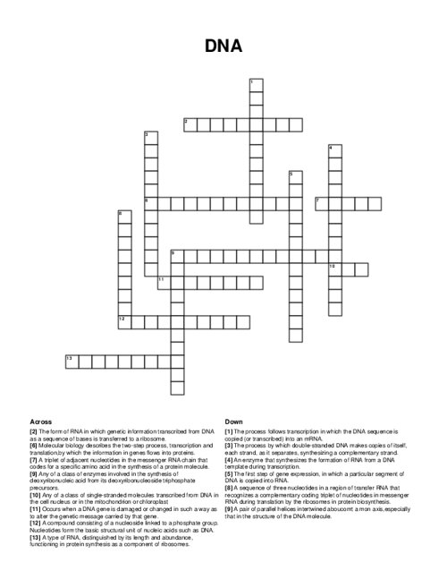 DNA Crossword Puzzle DNA Crossword Puzzle