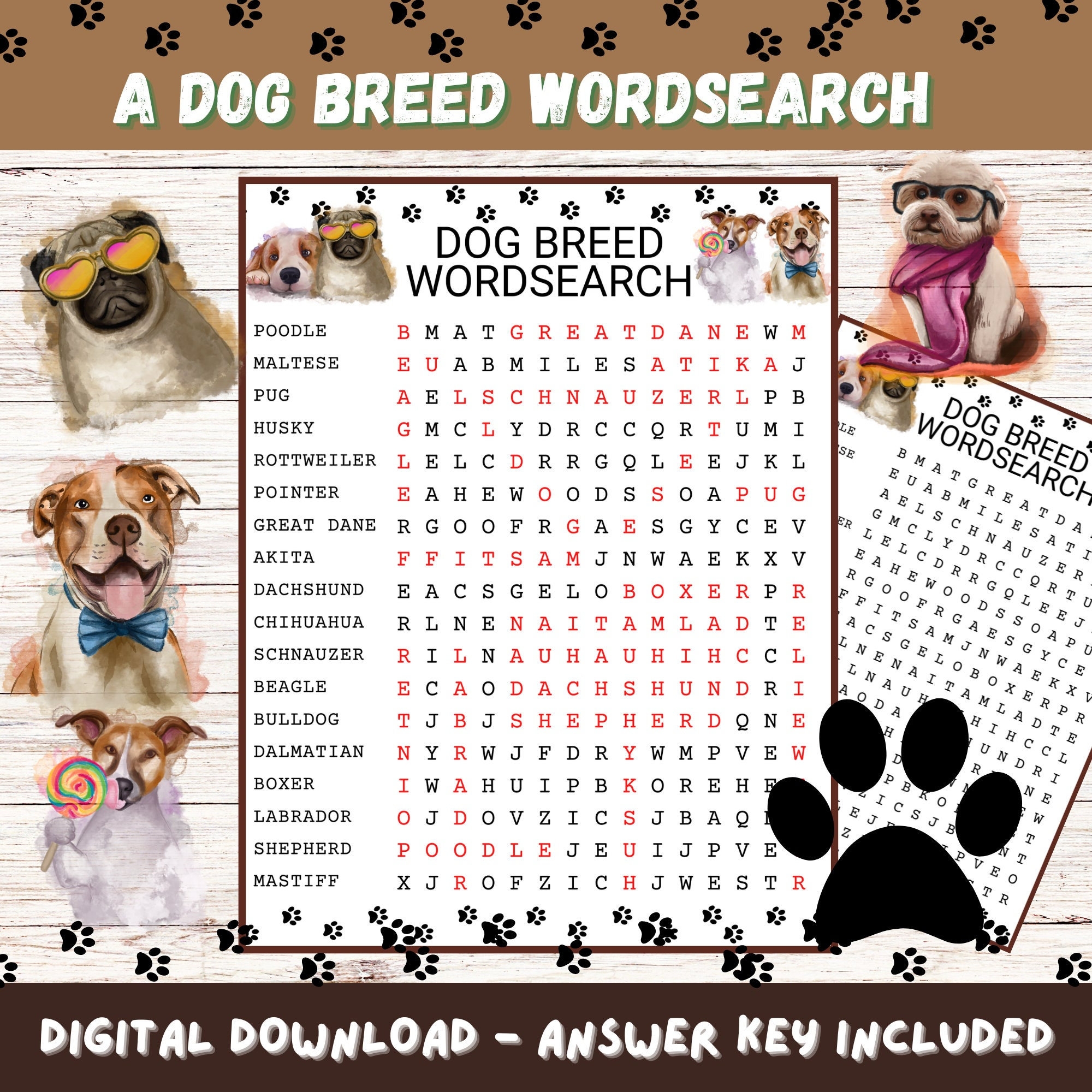 terrier type crossword clue