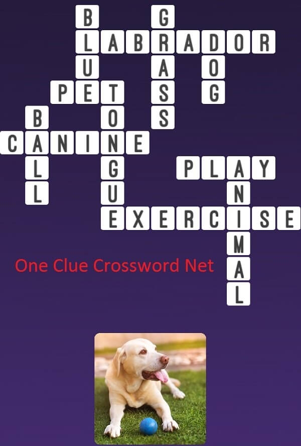 Dog Get Answers For One Clue Crossword Now