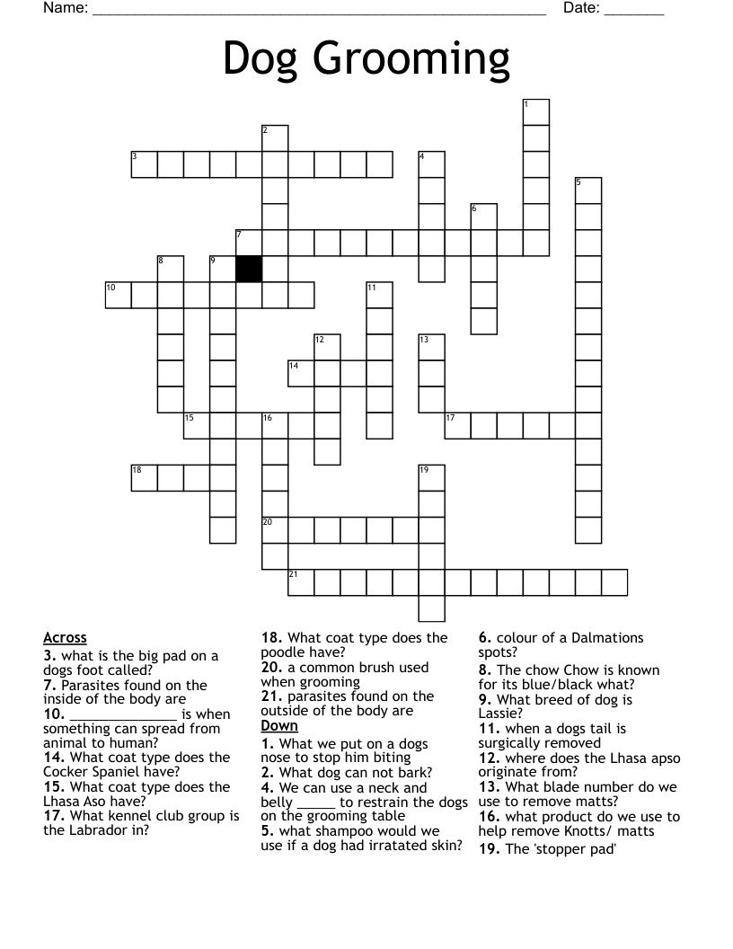 Dog Grooming Crossword WordMint