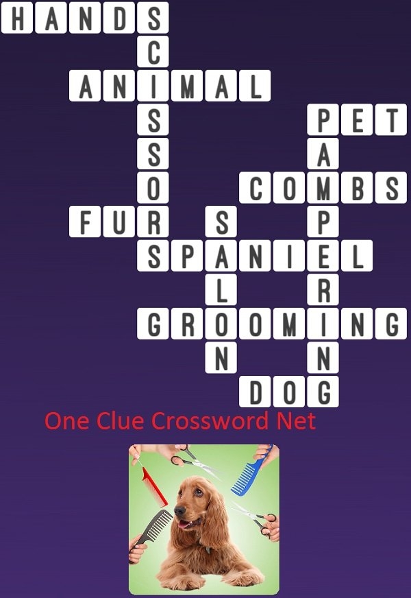 Dog Grooming Get Answers For One Clue Crossword Now