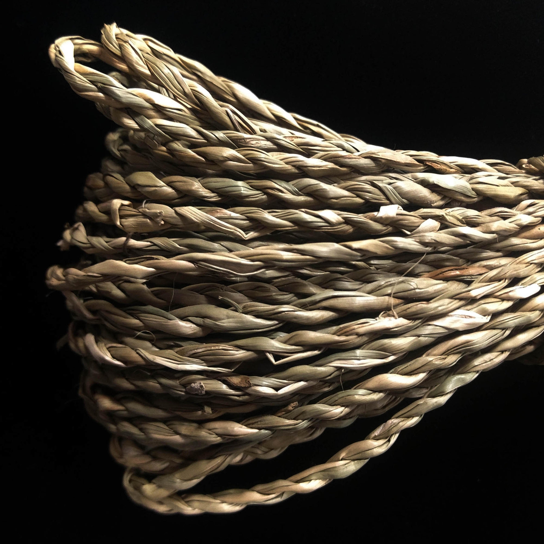 Early String Ties Us To Neanderthals The New York Times