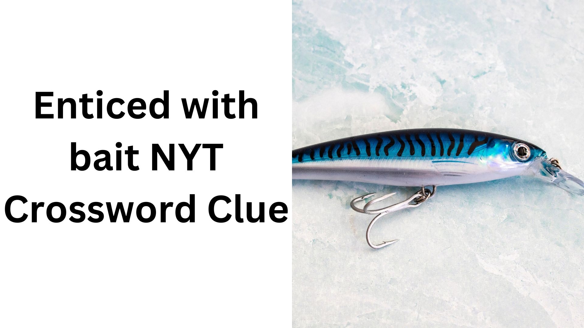 Enticed With Bait NYT Crossword Clue December 13 2024 Enticed With Bait NYT Crossword Clue December 13 2024