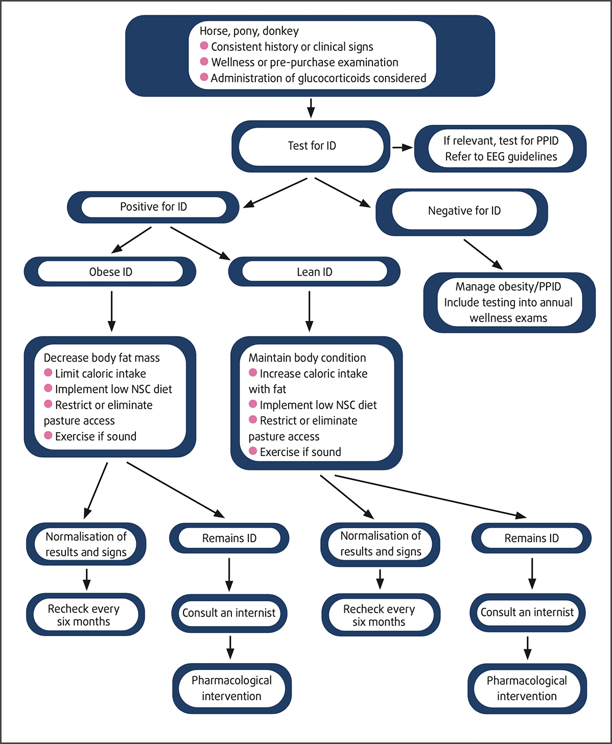 ambulatory access crossword