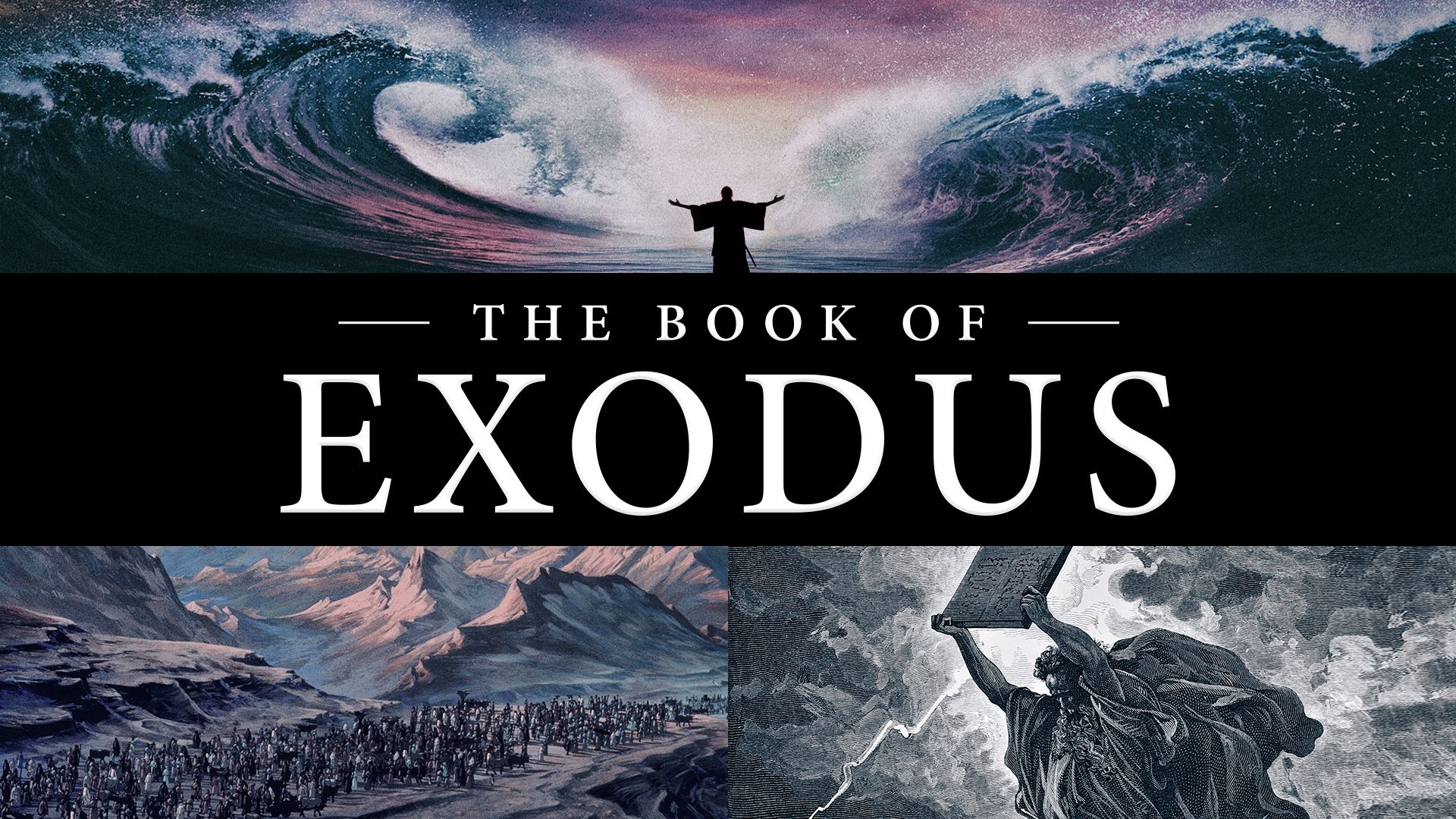 Exodus Author Leon Crossword Clue