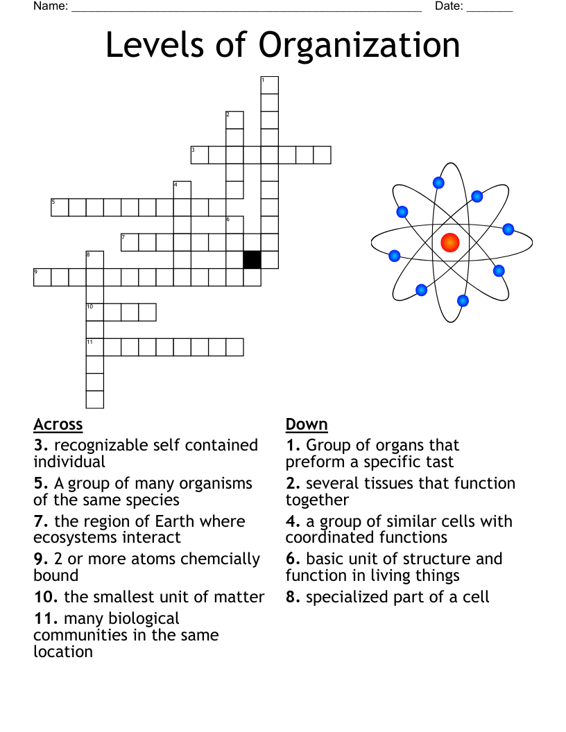 Exploring Creation With Biology Module 3 Crossword WordMint