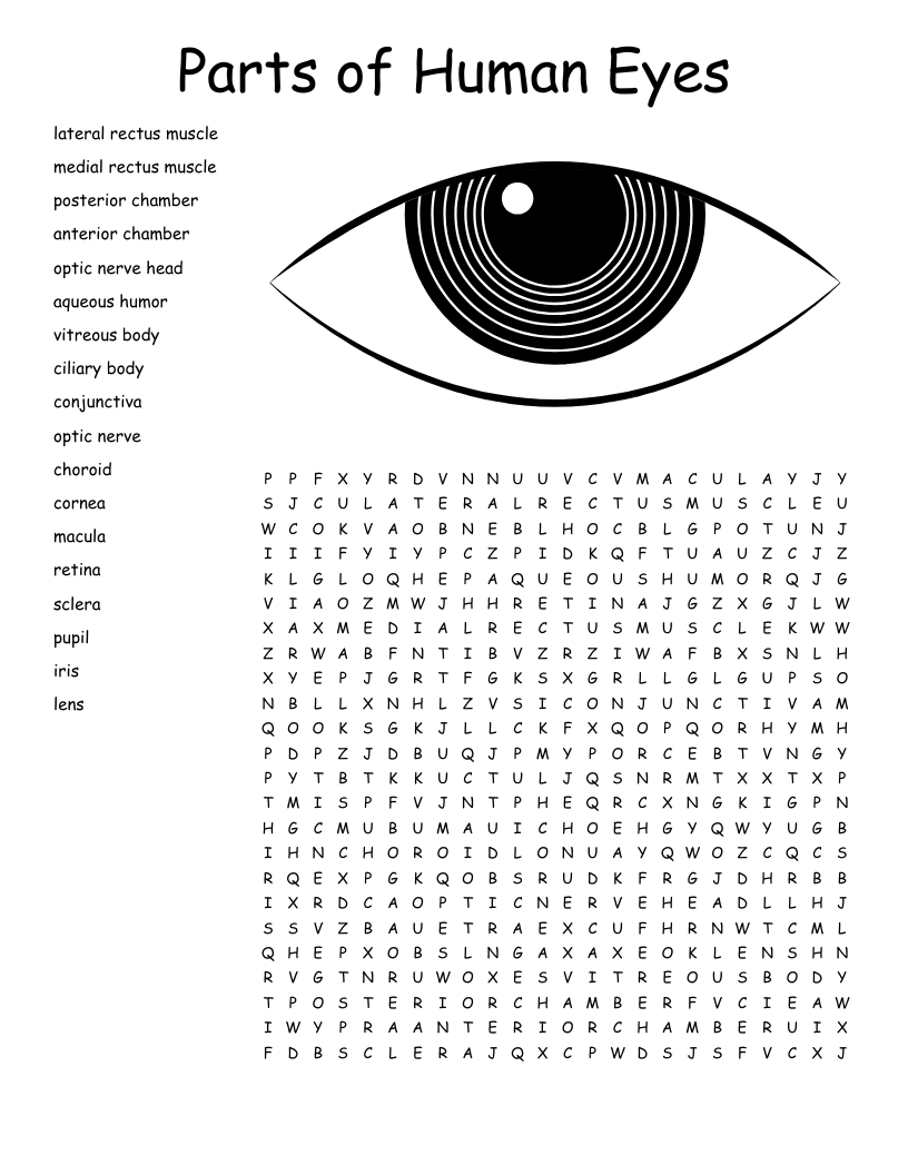 Eye Crossword WordMint