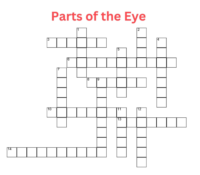 Eyelashes Crossword Body Parts Crossword With Hand Eye Shoulder Vector Eyelashes Crossword Body Parts Crossword With Hand Eye Shoulder Vector