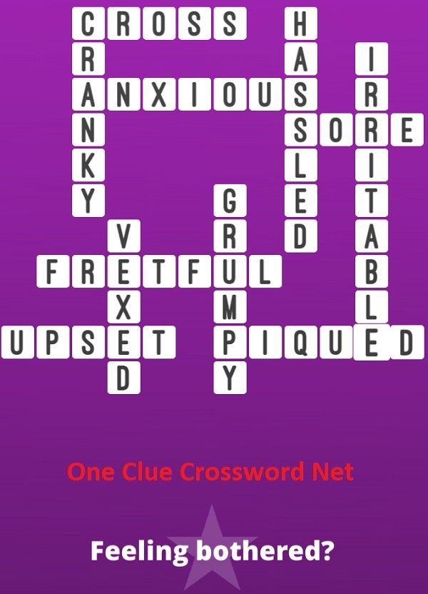 Feeling Bothered Bonus Puzzle Get Answers For One Clue Crossword Now