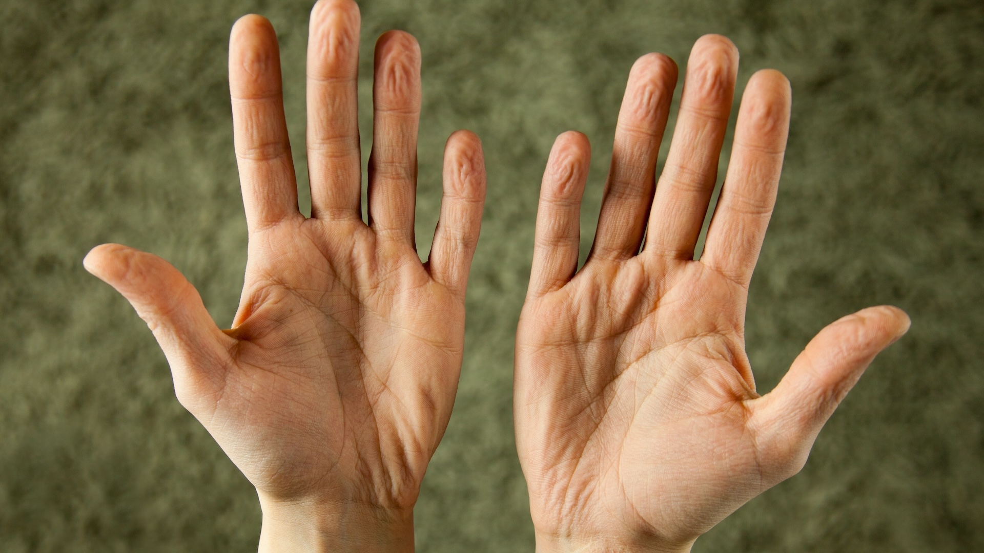 having fingers or toes crossword clue