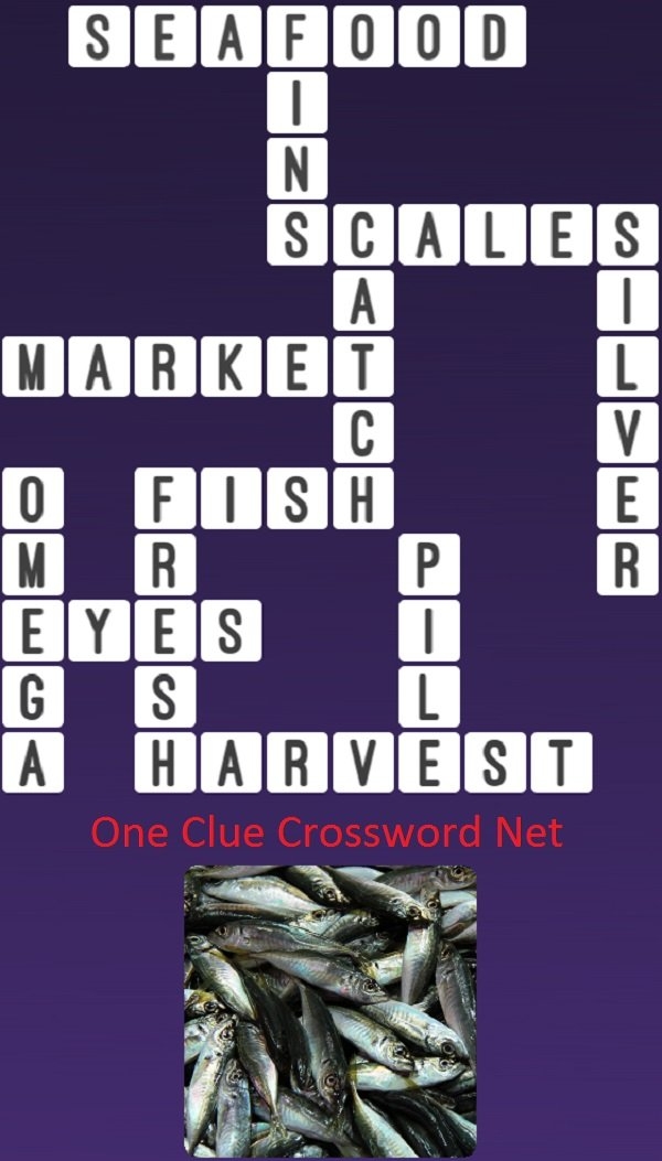 Fish Market Get Answers For One Clue Crossword Now