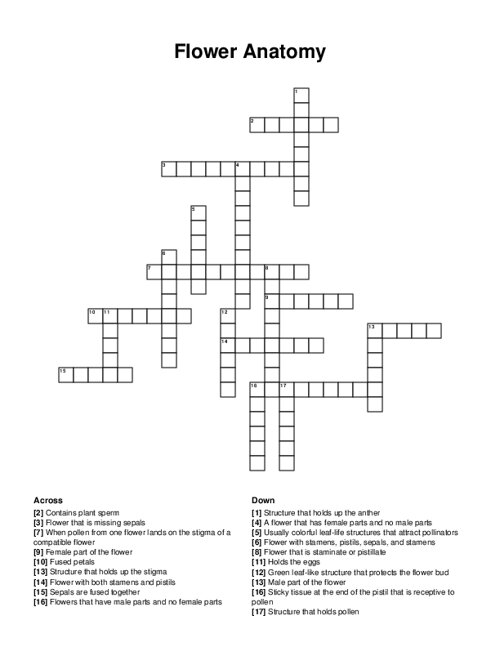 Flower Anatomy Crossword Puzzle
