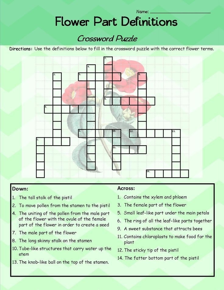 Flower Part Crossword Puzzle Free Printable Crossword