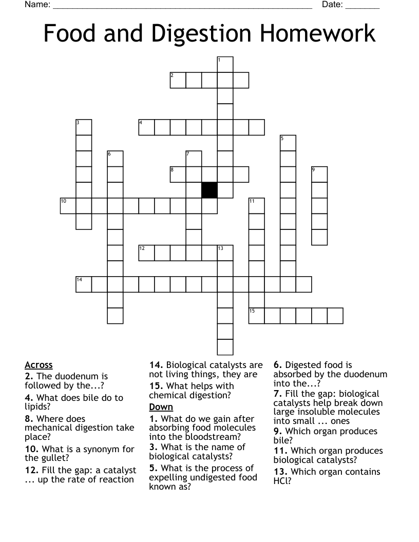 Food And Digestion Homework Crossword WordMint