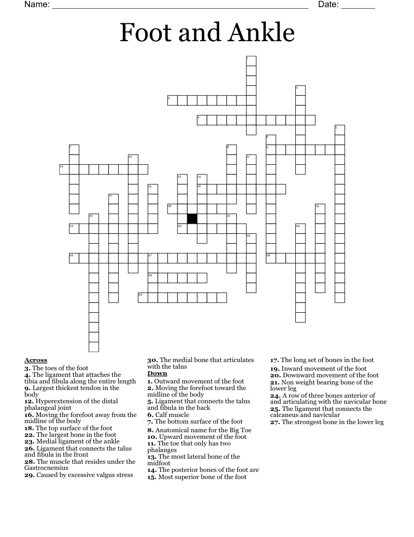 Foot And Ankle Crossword WordMint Foot And Ankle Crossword WordMint