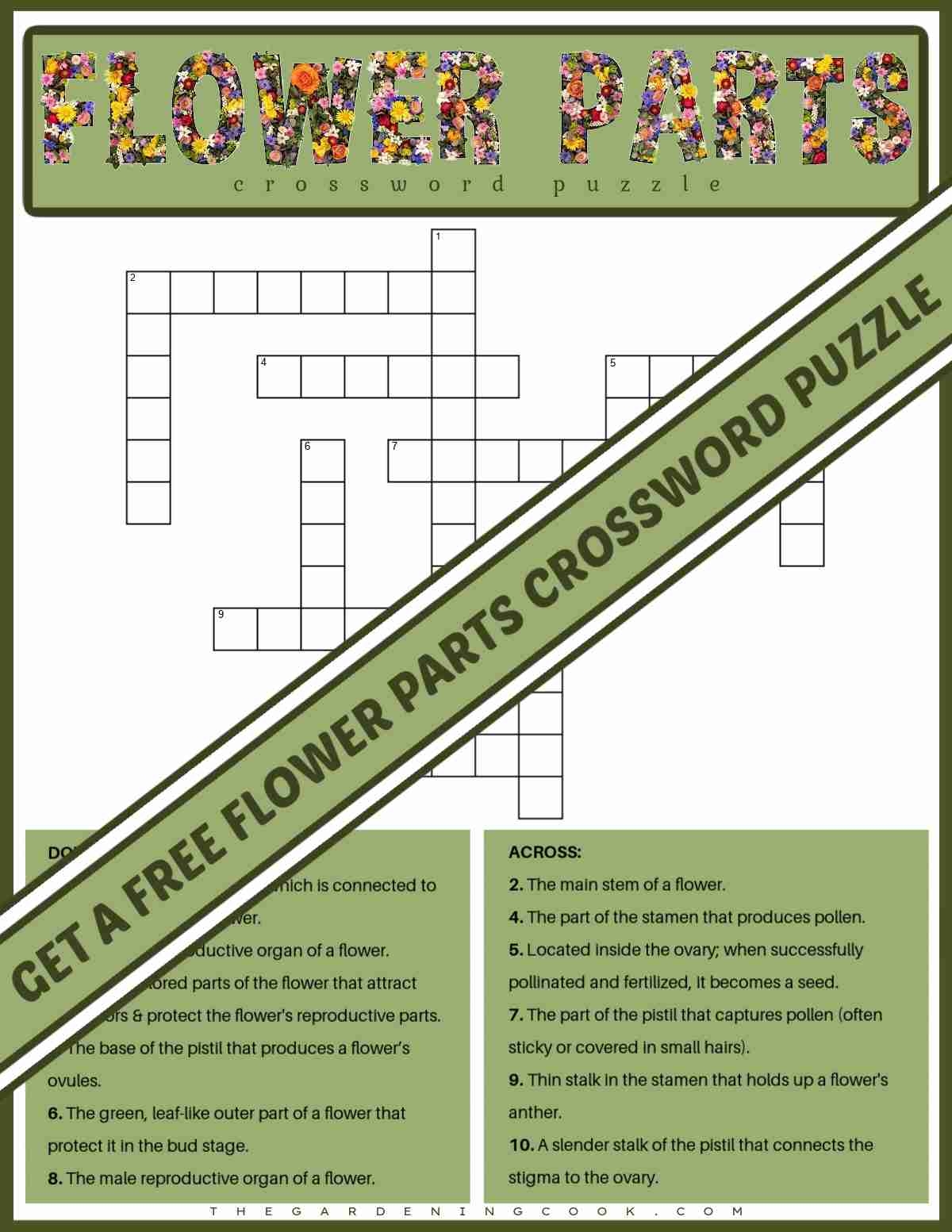 Free Printable Flower Parts Crossword Puzzle PDF JPG Free Printable Flower Parts Crossword Puzzle PDF JPG