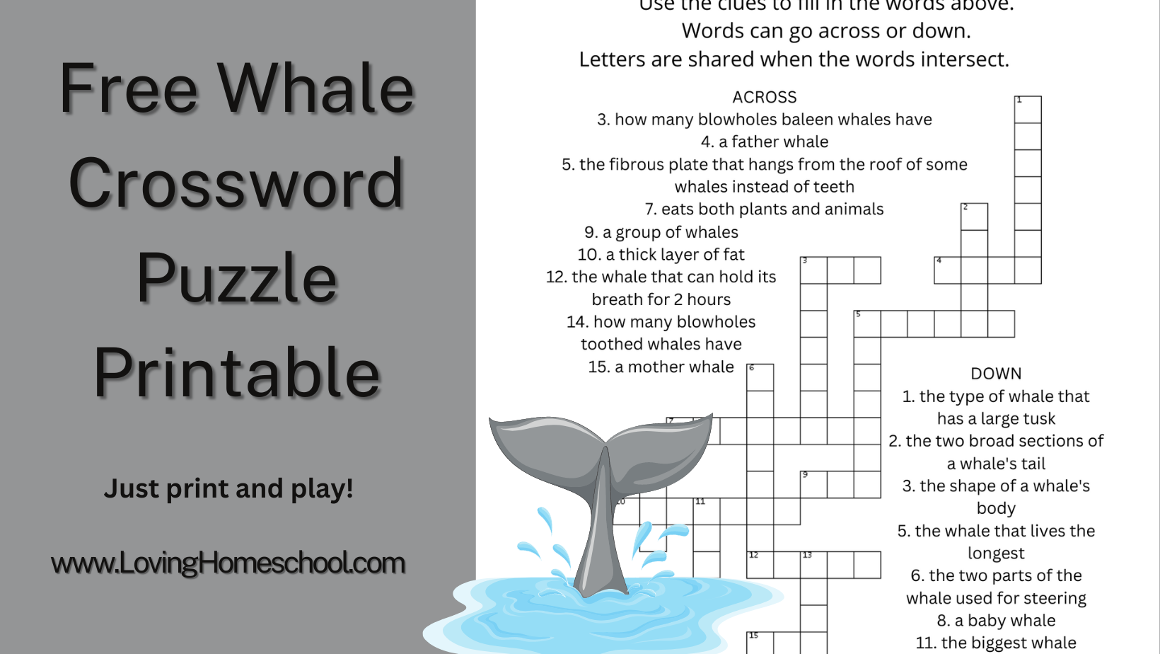 groups of whales crossword clue