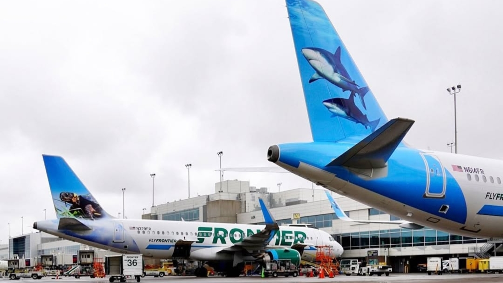 Frontier Airlines Warns Of Major US Flight Cuts Here s How Travelers Could Be Impacted Hindustan Times Frontier Airlines Warns Of Major US Flight Cuts Here s How Travelers Could Be Impacted Hindustan Times