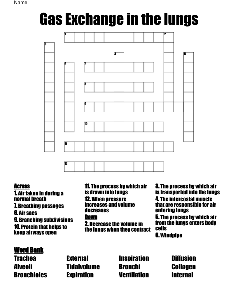 Gas Exchange In The Lungs Crossword WordMint