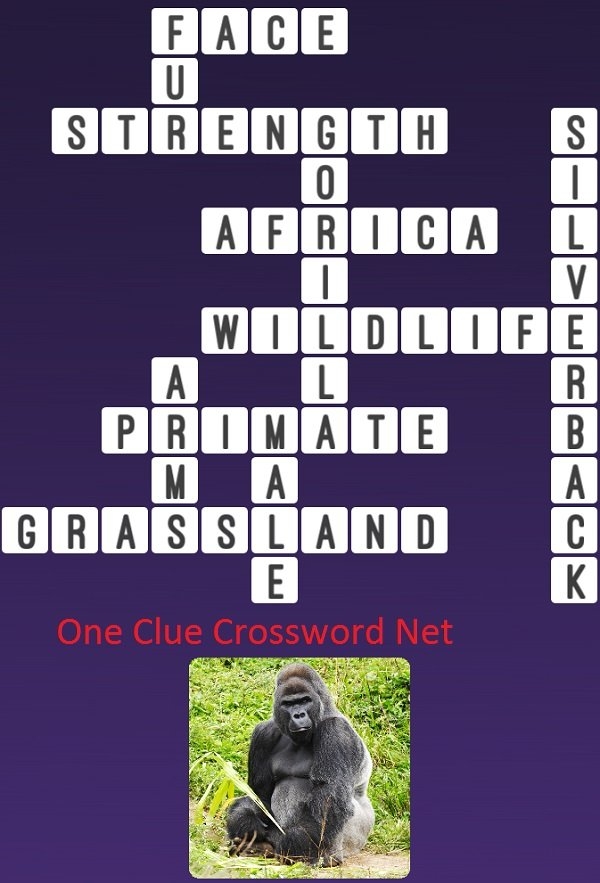 Gorilla Get Answers For One Clue Crossword Now