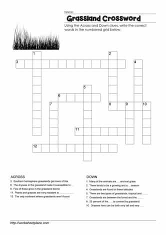 Grasslands Crossword Worksheets