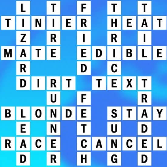 biggest crossword puzzle