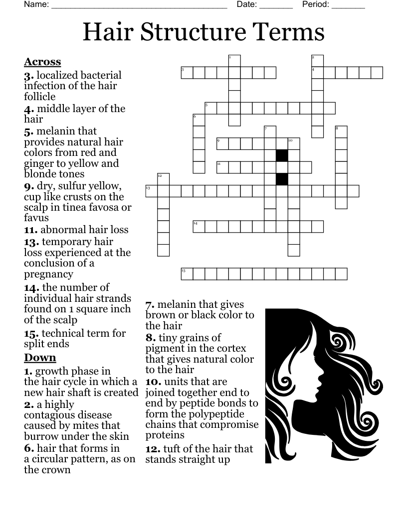 HAIR Crossword WordMint HAIR Crossword WordMint
