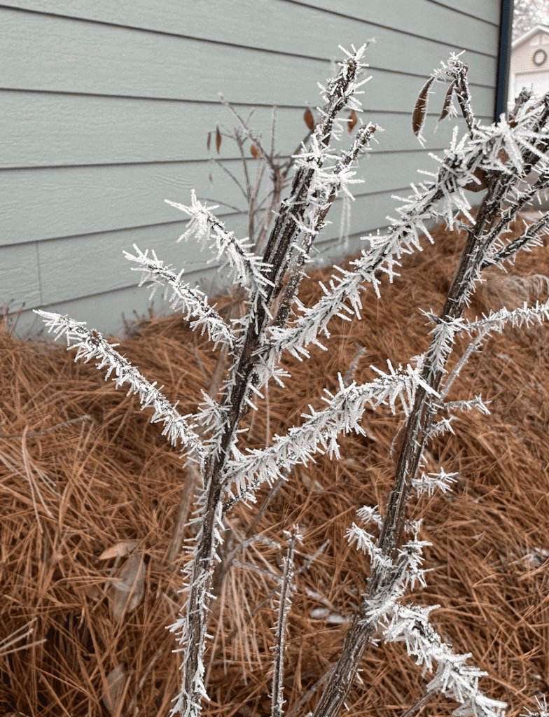 frost crossword clue frost crossword clue