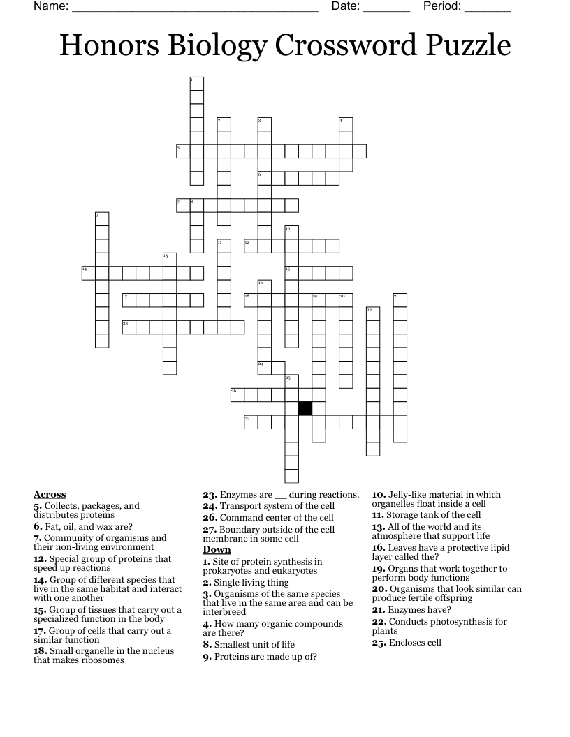 Honors Biology Crossword Puzzle WordMint