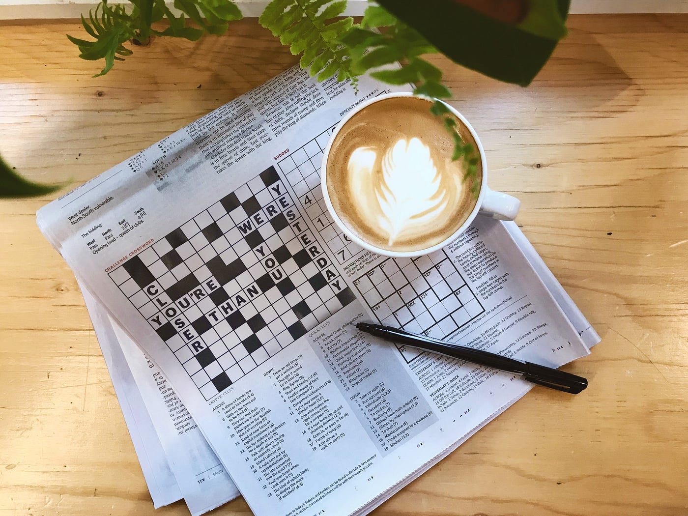 How To Do A Crossword Puzzle And Why You Absolutely Should By Jana Primmer Medium