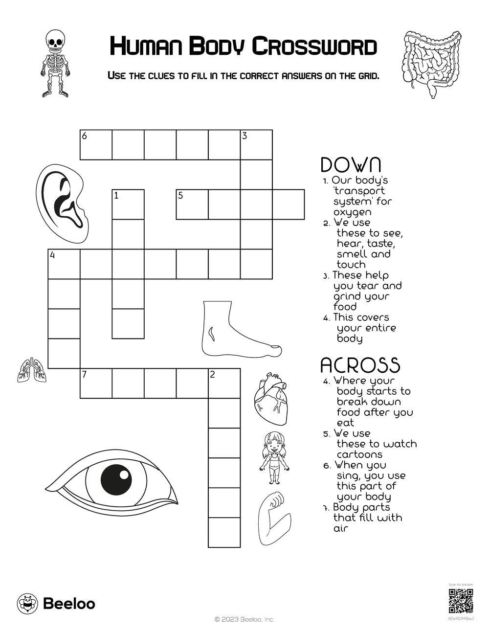 Human Body Crossword Beeloo Printable Crafts And Activities For Kids