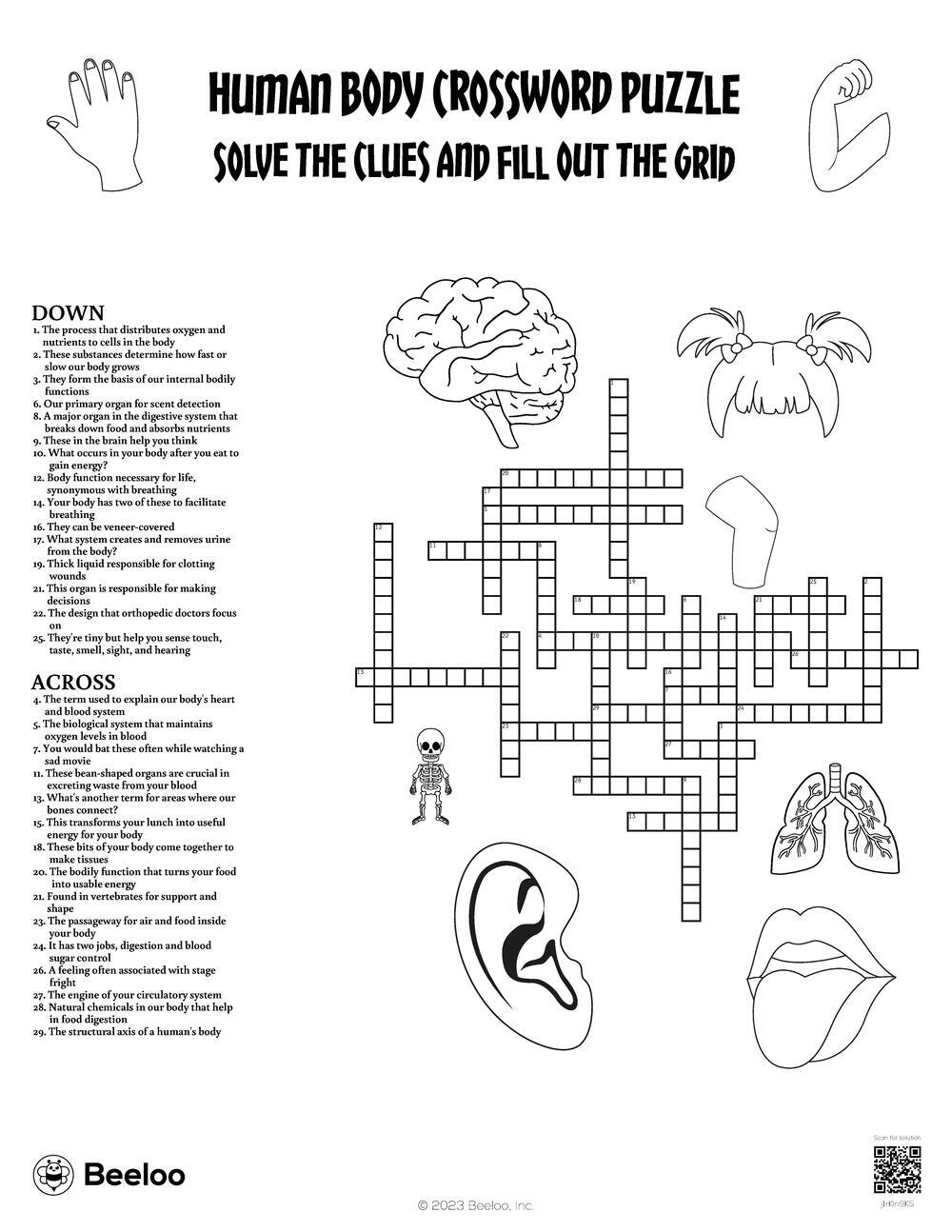 Human Body Crossword Puzzle Beeloo Printable Crafts And Activities For Kids