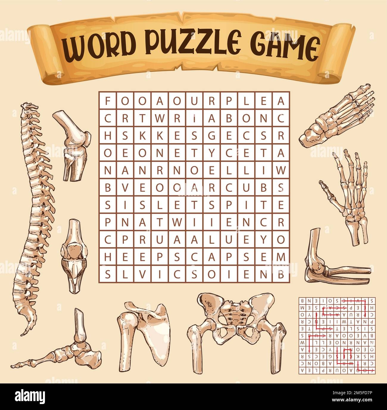 Human Bones Word Search Puzzle Game Worksheet Vector Riddle Quiz Kids Word Search Grid To Find Words Of Human Body Anatomy Bones Of Wrist Knee Or Root And Pelvic Pacsula And Cubit Human Bones Word Search Puzzle Game Worksheet Vector Riddle Quiz Kids Word Search Grid To Find Words Of Human Body Anatomy Bones Of Wrist Knee Or Root And Pelvic Pacsula And Cubit