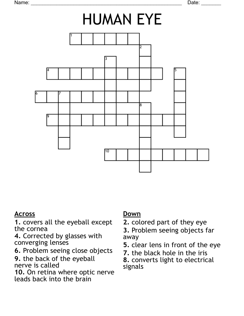 HUMAN EYE Crossword WordMint