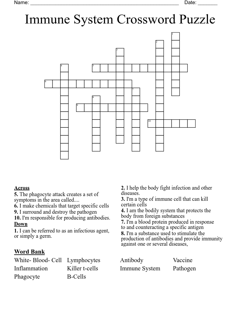 Immune System Crossword Puzzle WordMint