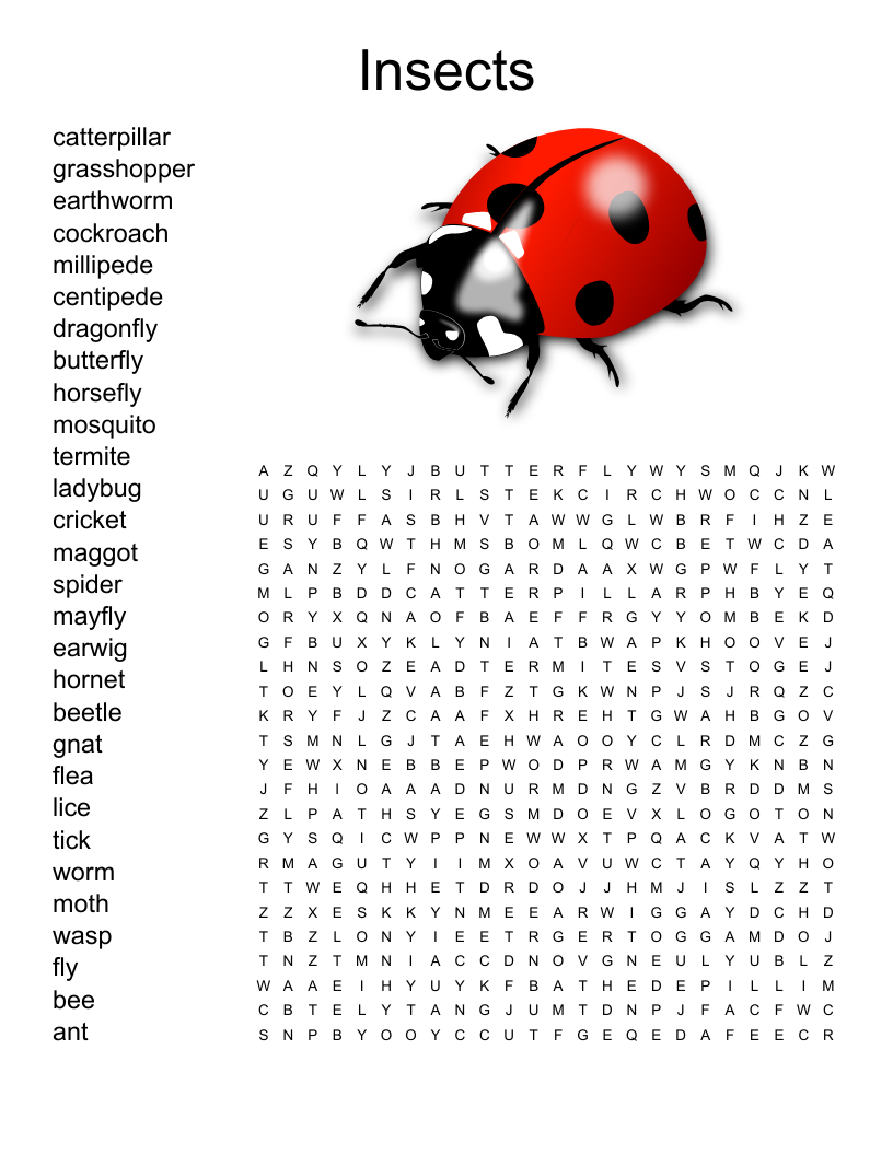 Insect Orders Crossword WordMint