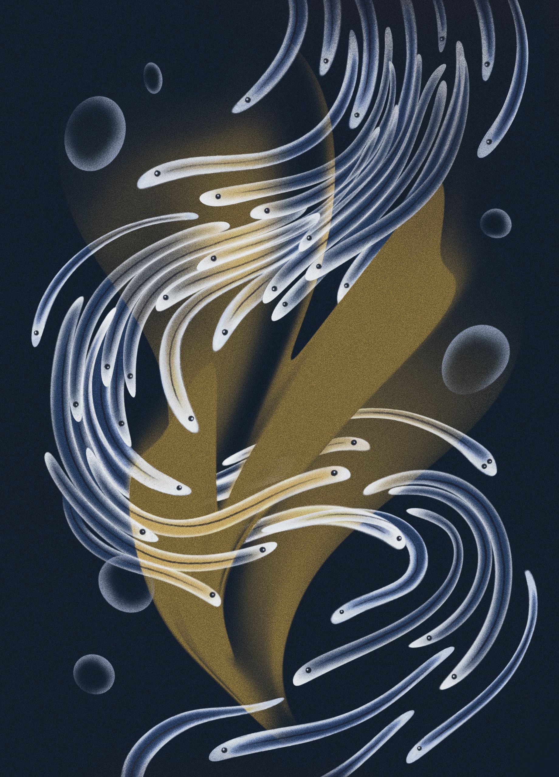 young eel crossword clue