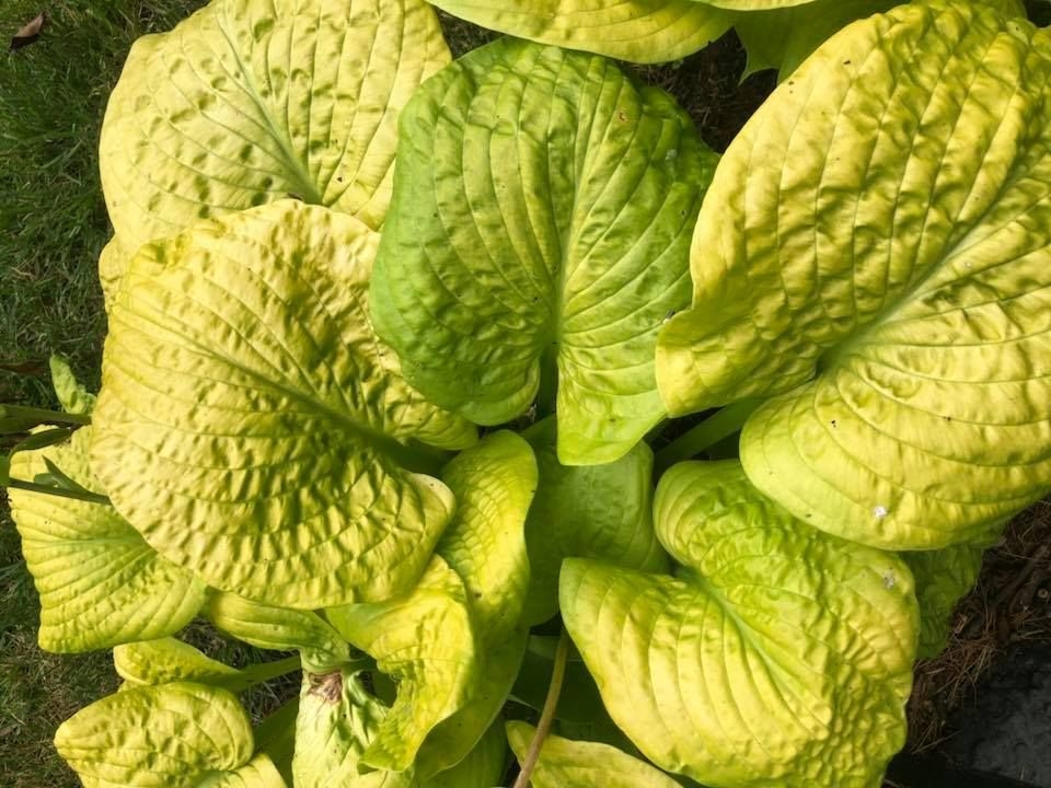 small brooks crossword puzzle clue small brooks crossword puzzle clue