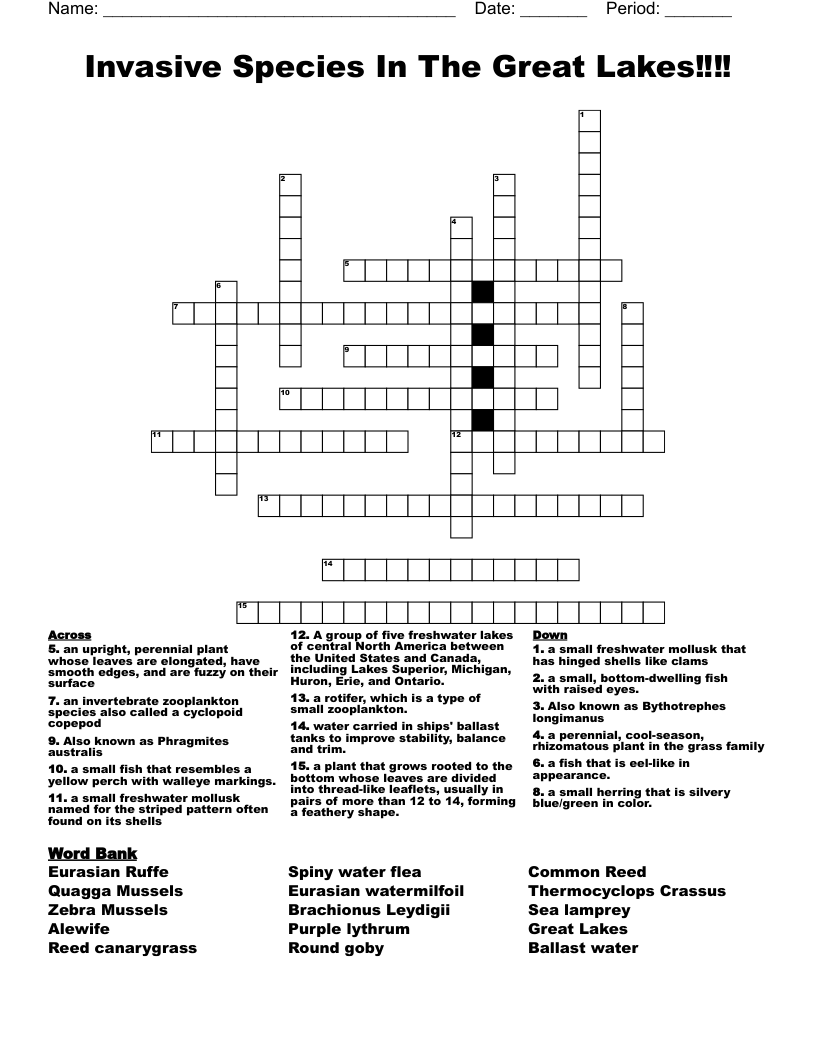 Invasive Species In The Great Lakes Crossword WordMint