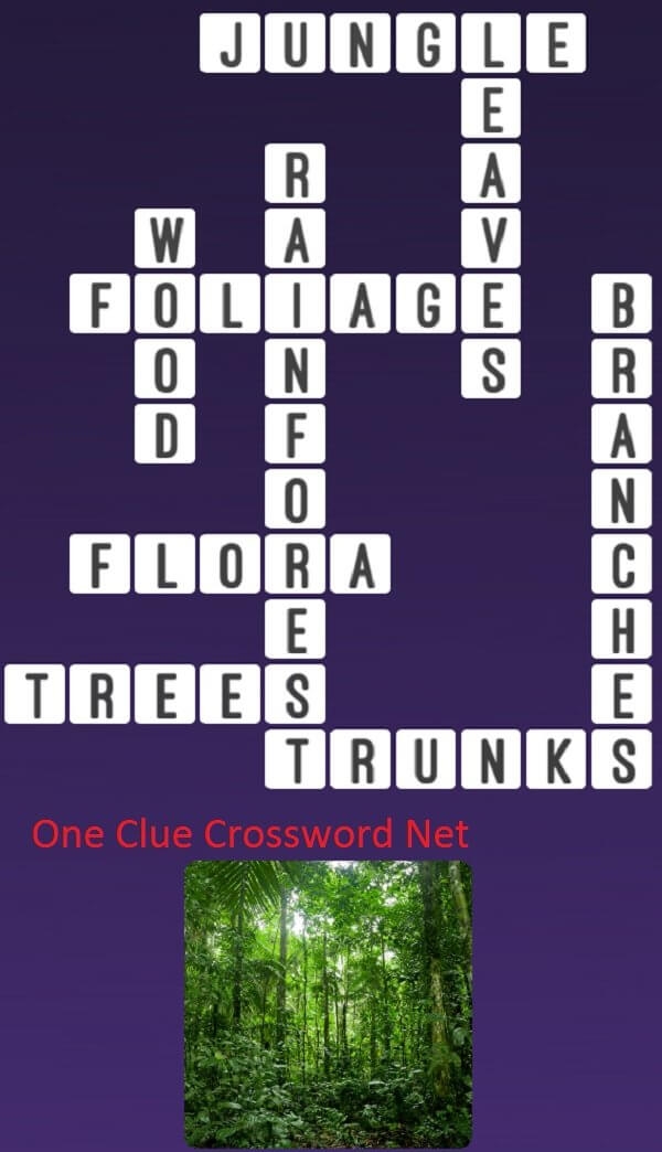 Jungle Get Answers For One Clue Crossword Now
