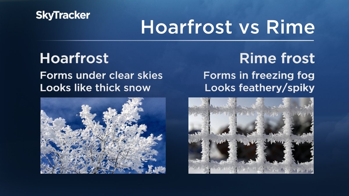 L A Times Crossword Corner Wednesday November 29 2017 Claire Muscat And David Steinberg