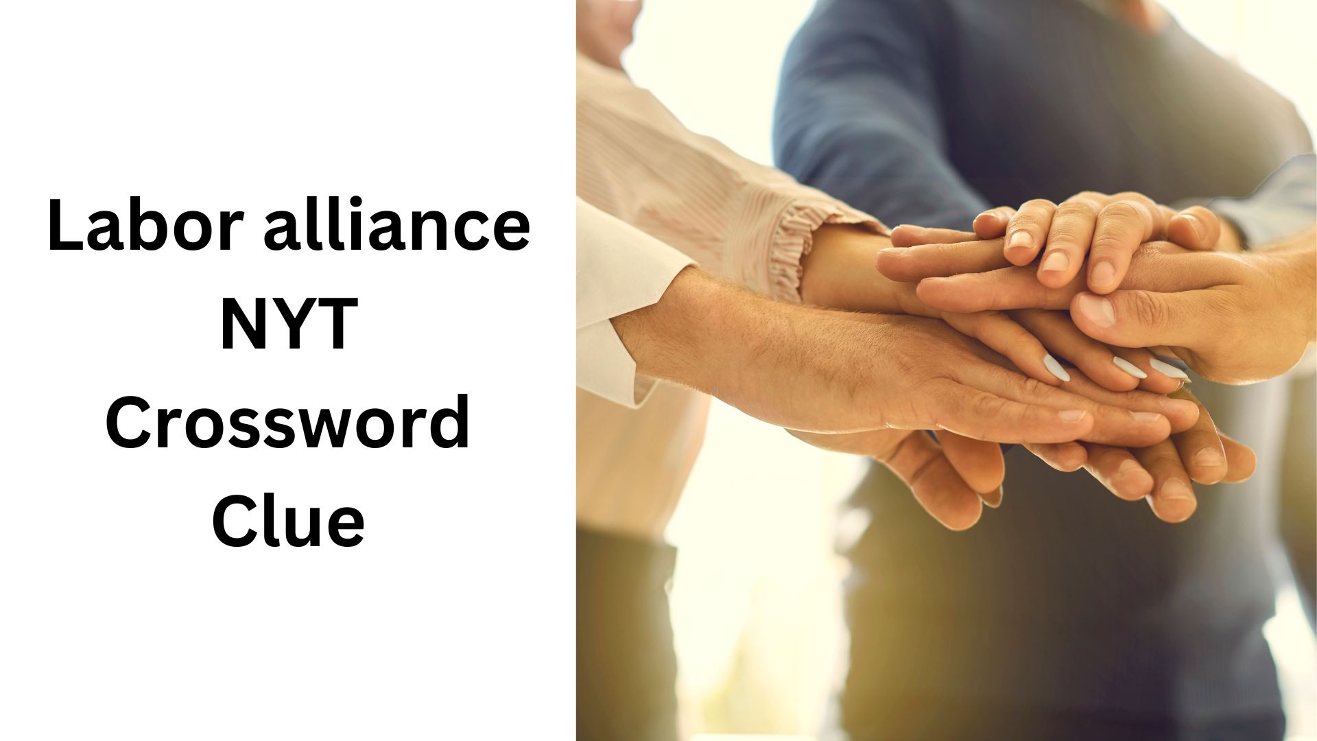 Labor Alliance NYT Crossword Clue December 16 2024