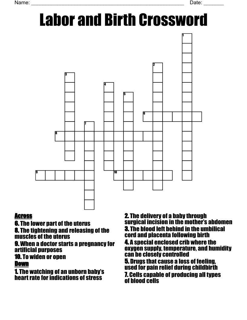 Labor And Birth Crossword WordMint
