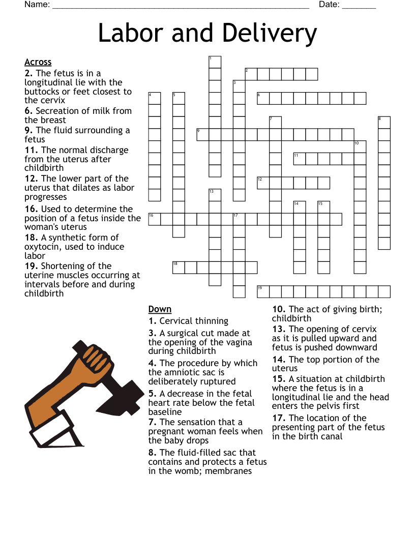 Labor And Delivery Crossword WordMint