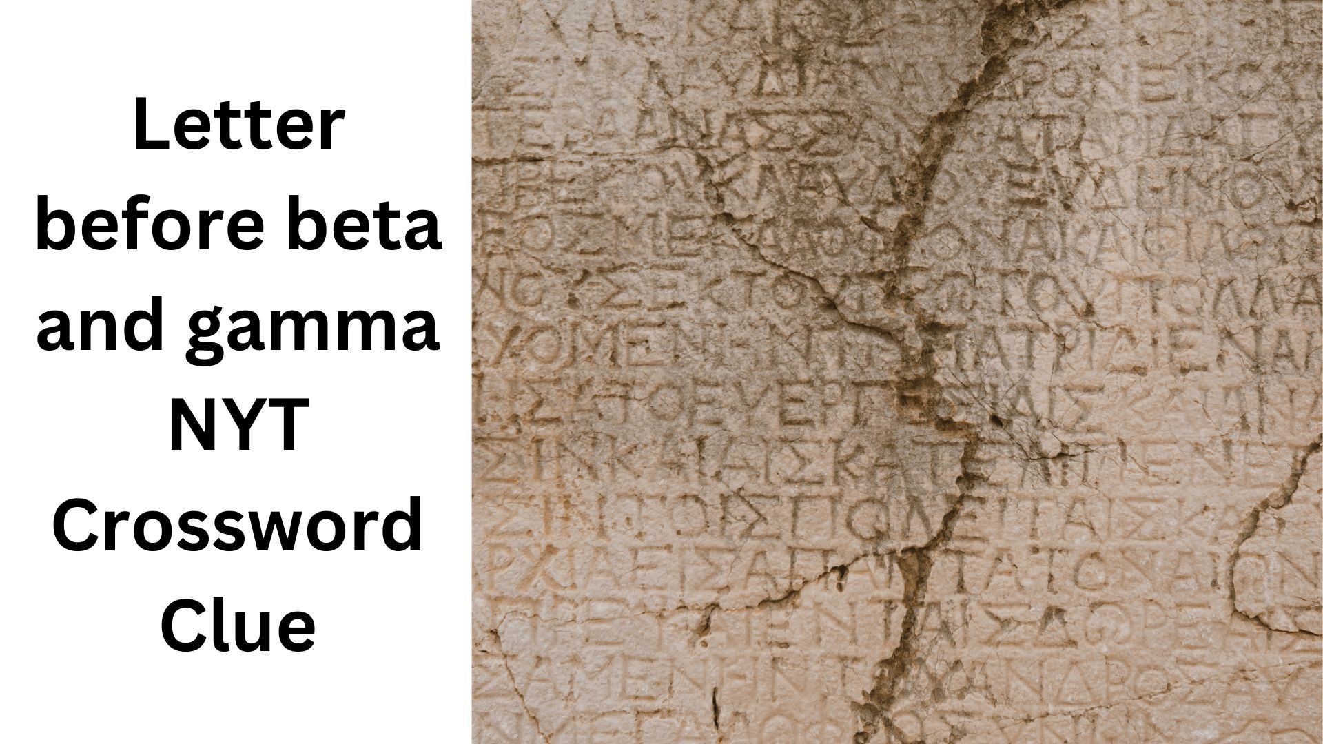 Letter Before Beta And Gamma NYT Crossword Clue August 12 2024