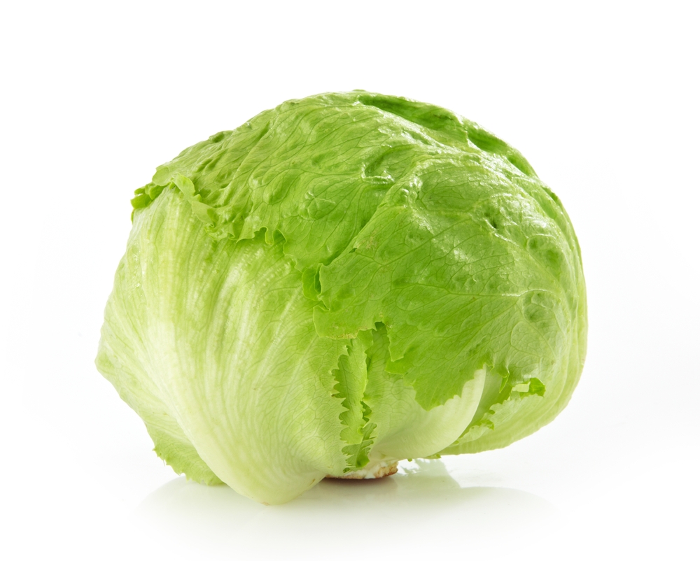 LETTUCE Definition In American English Collins English Dictionary