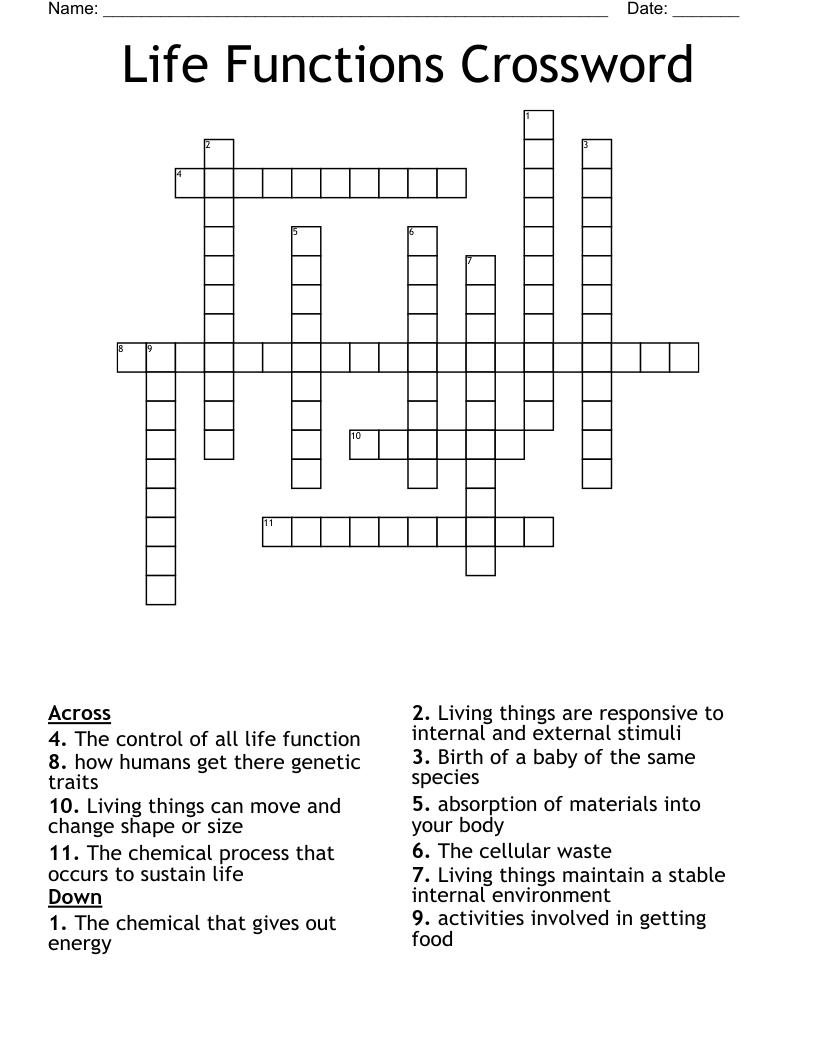 Life Functions Crossword WordMint