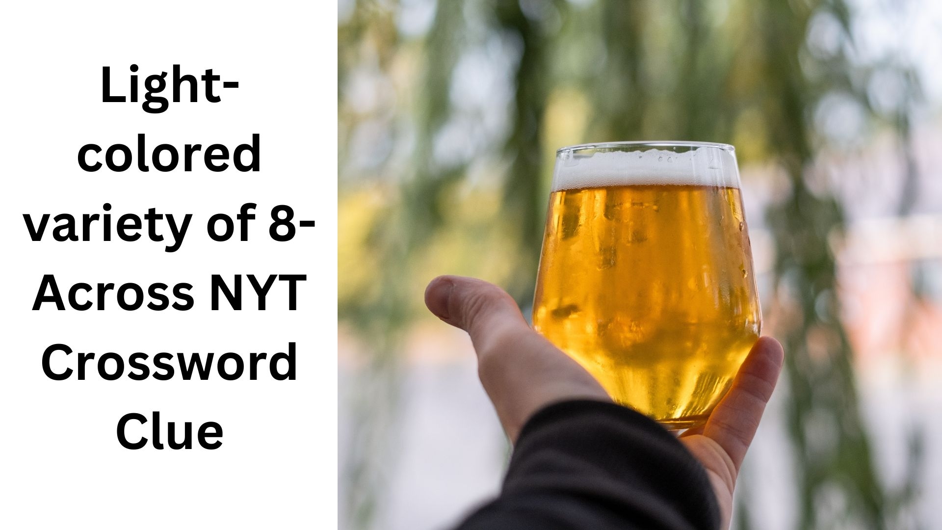 Light colored Variety Of 8 Across NYT Crossword Clue August 26 2024