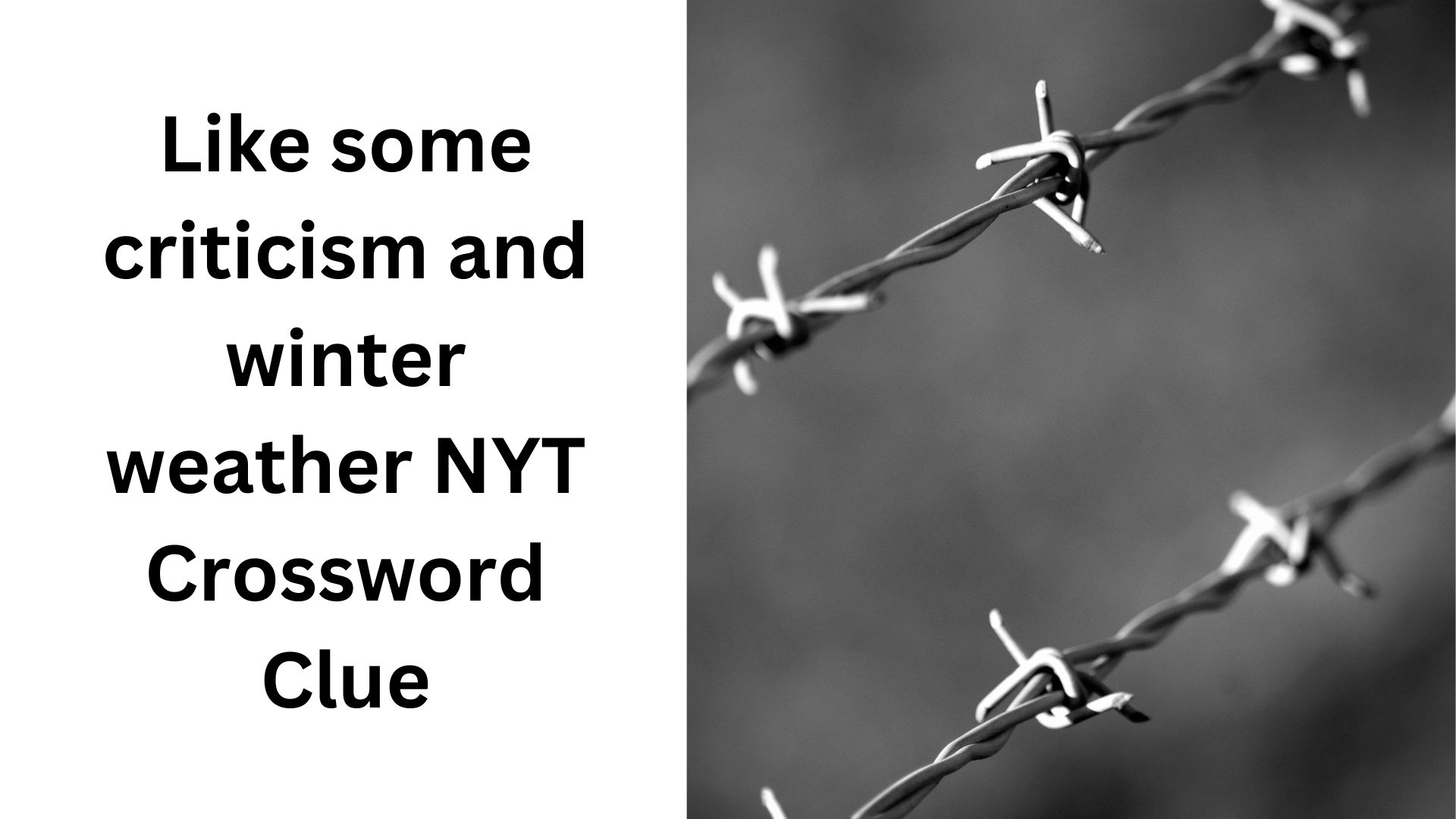 Like Some Criticism And Winter Weather NYT Crossword Clue October 24 2024