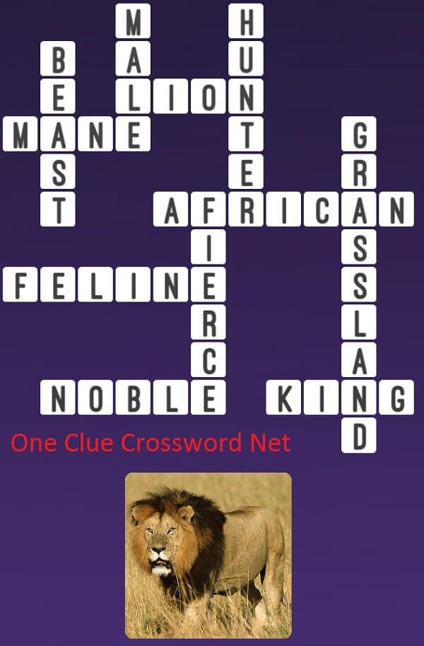 Lion Get Answers For One Clue Crossword Now